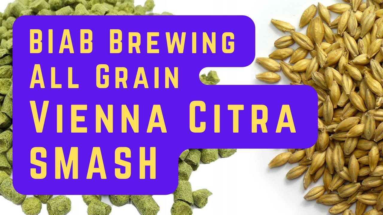 Пиво Vienna Citra SMaSH | Все зерно | BIAB Brew