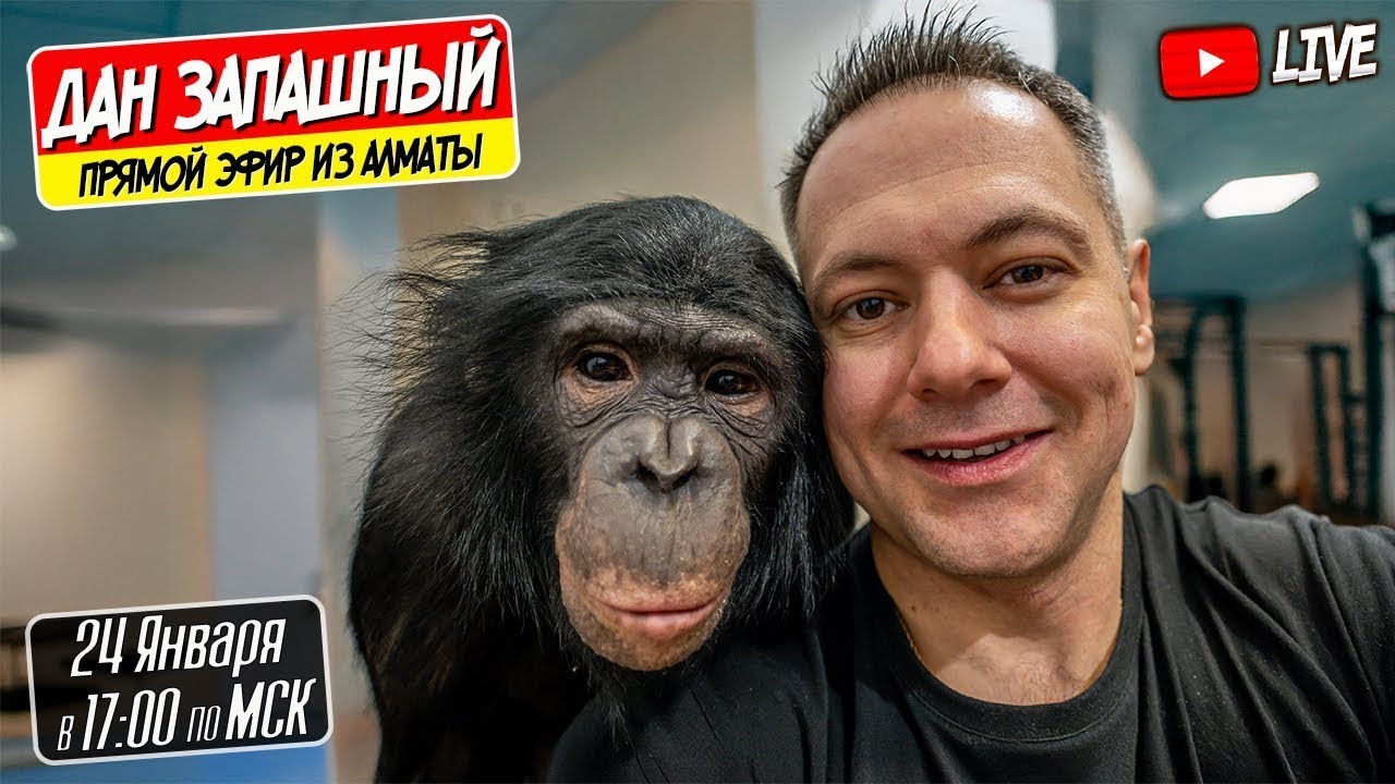🔴 Первый Стрим 2026 с Даном Запашным и Шимпанзе Боней!