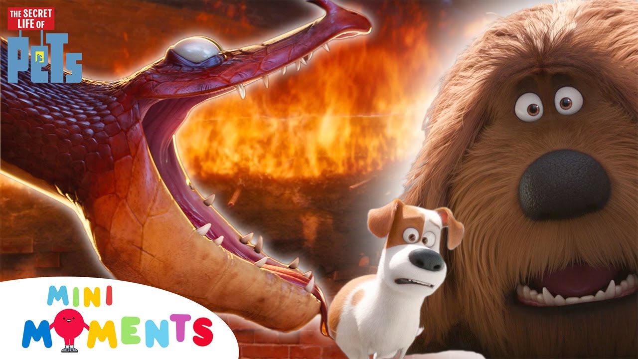 Animal Chase CHAOS!! 🐍🐶😳 | The Secret Life Of Pets | Clip | Mini Moments