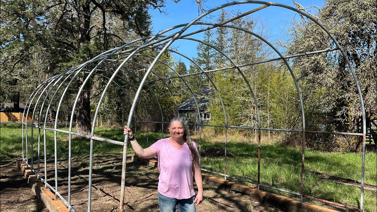 Hoop Coop build/Putting up the frame!
