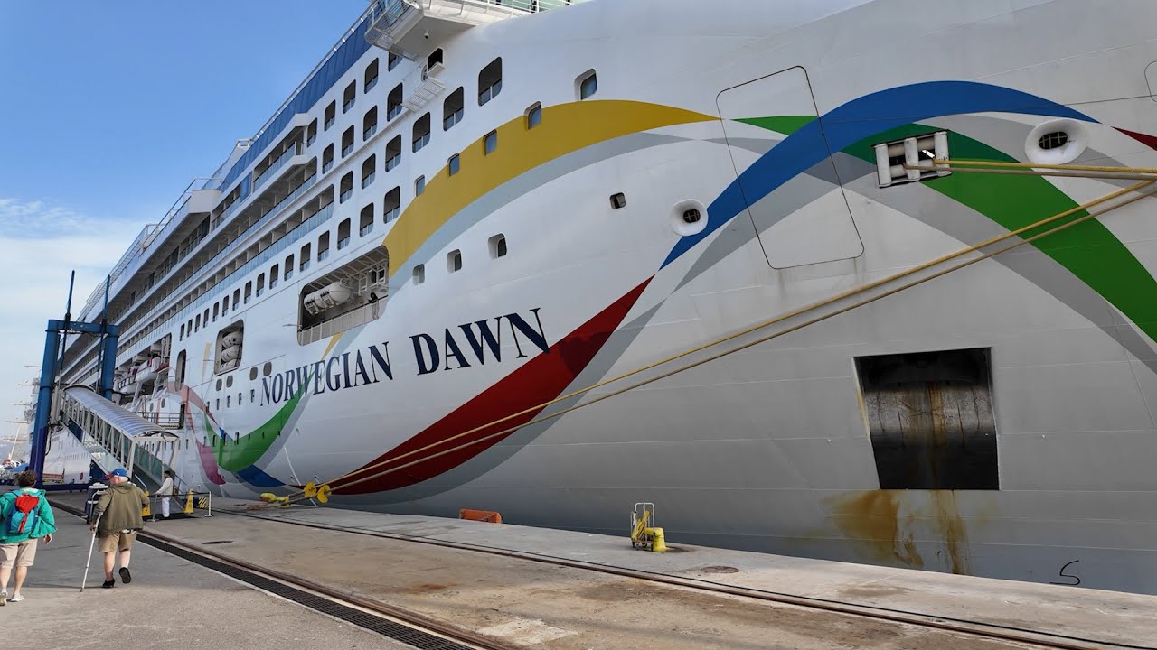 Norwegian DAWN November 2024