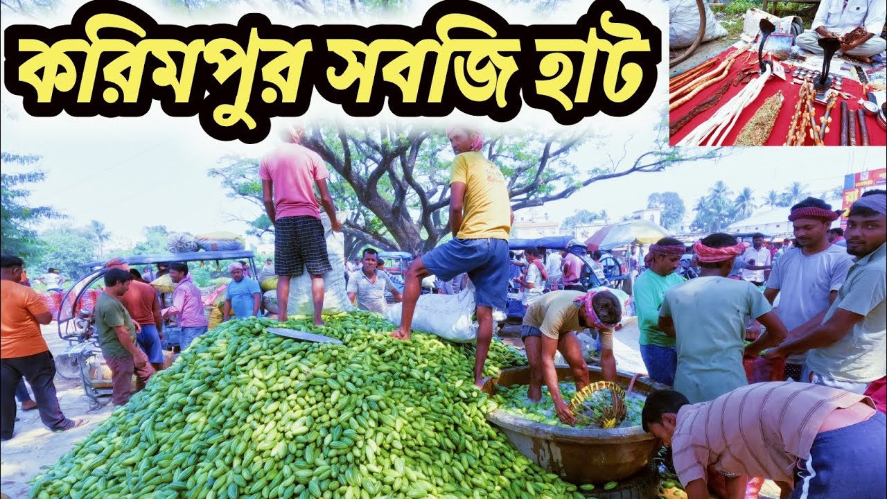 করিমপুর পাইকারি সবজি হাট । Karimpur regulated market । Karimpur bazar । Karimpur nadia