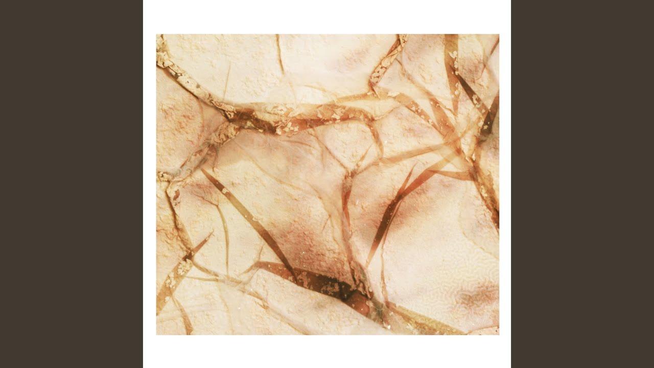 Forest Floor