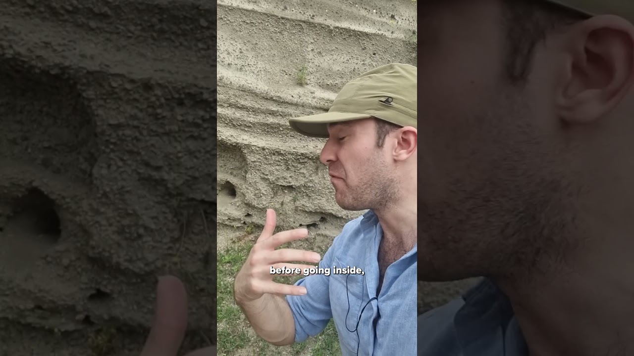 The pyroclastic flows that wiped out Pompeii 2,000 years ago 🌋