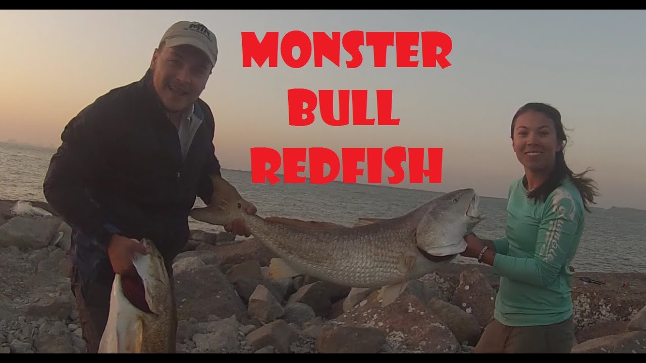 Non Stop Bull Redfish Action!!!