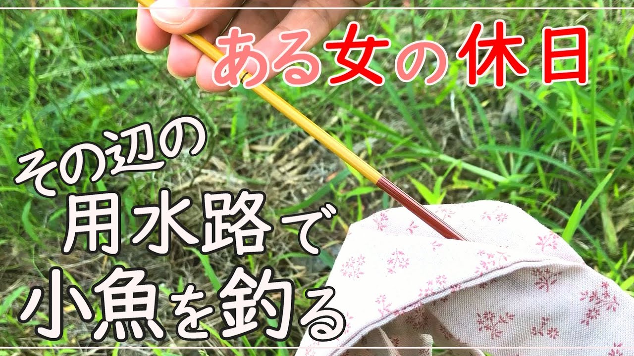 【小物釣り】ウキを眺めるのが休日のルーティン / micro fishing
