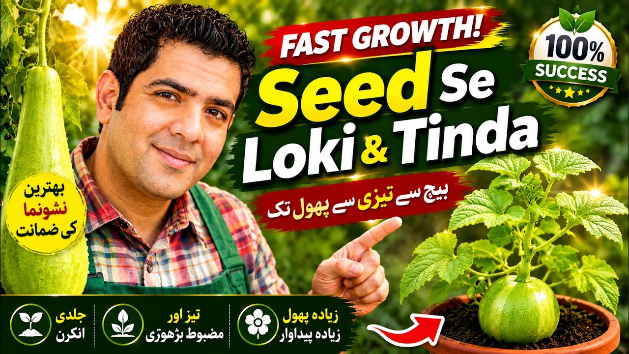 How To Grow Bottle Gourd (Loki) & Round Gourd (Tinda) From Seeds | Complete Growing Guide
