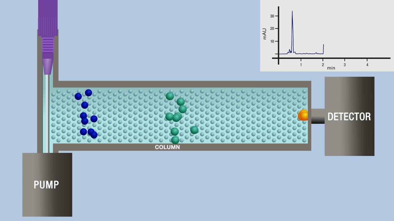 Chromatography animation