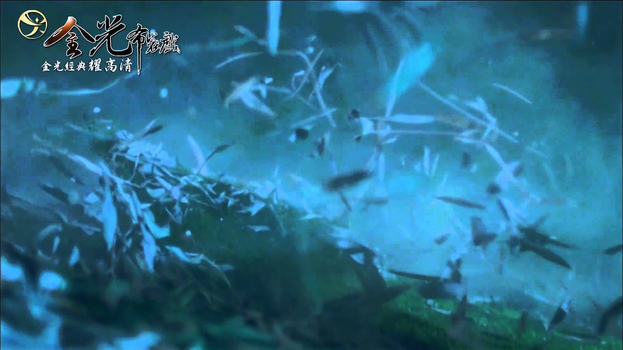 金光武戲「無旁白」 也能讓你驚嘆到停止呼吸