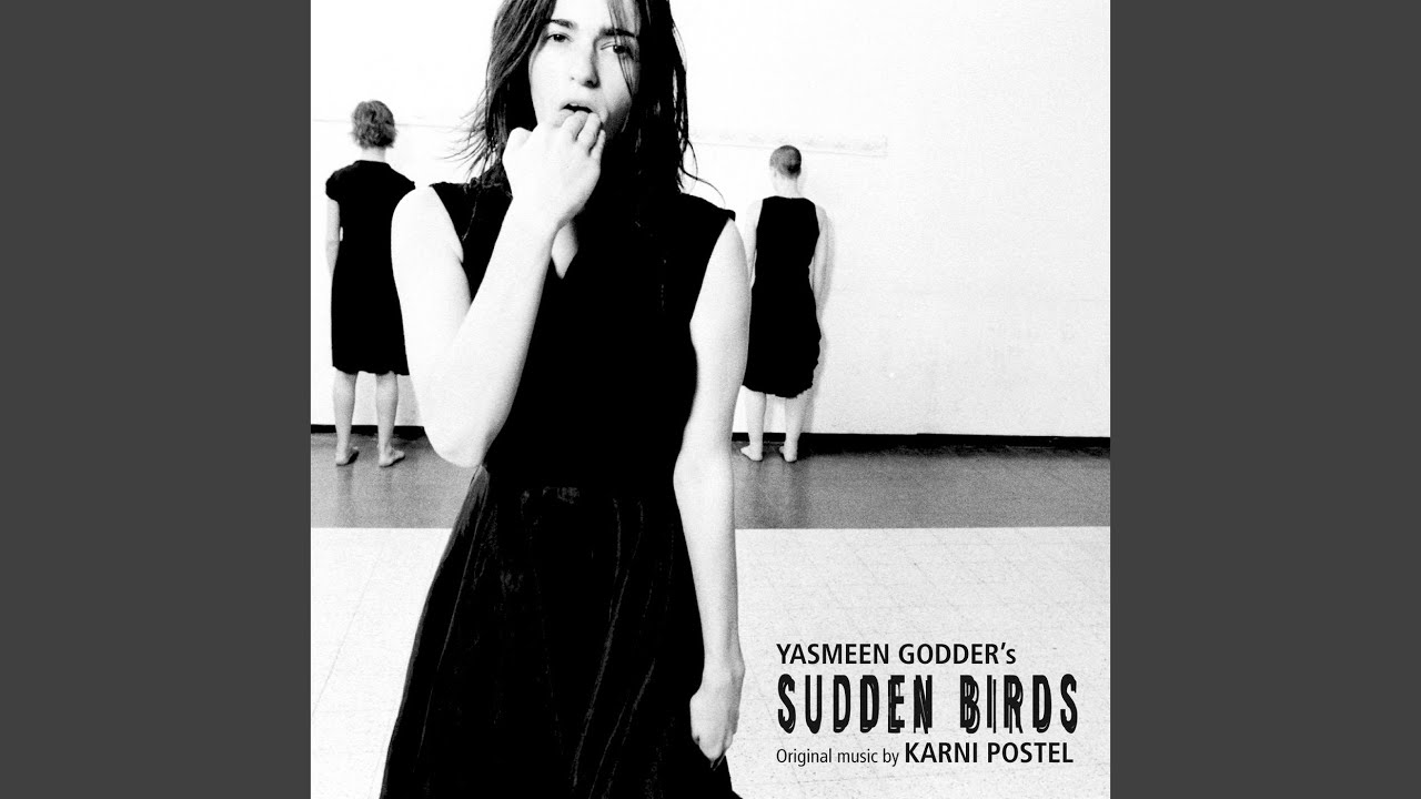 Sudden Birds