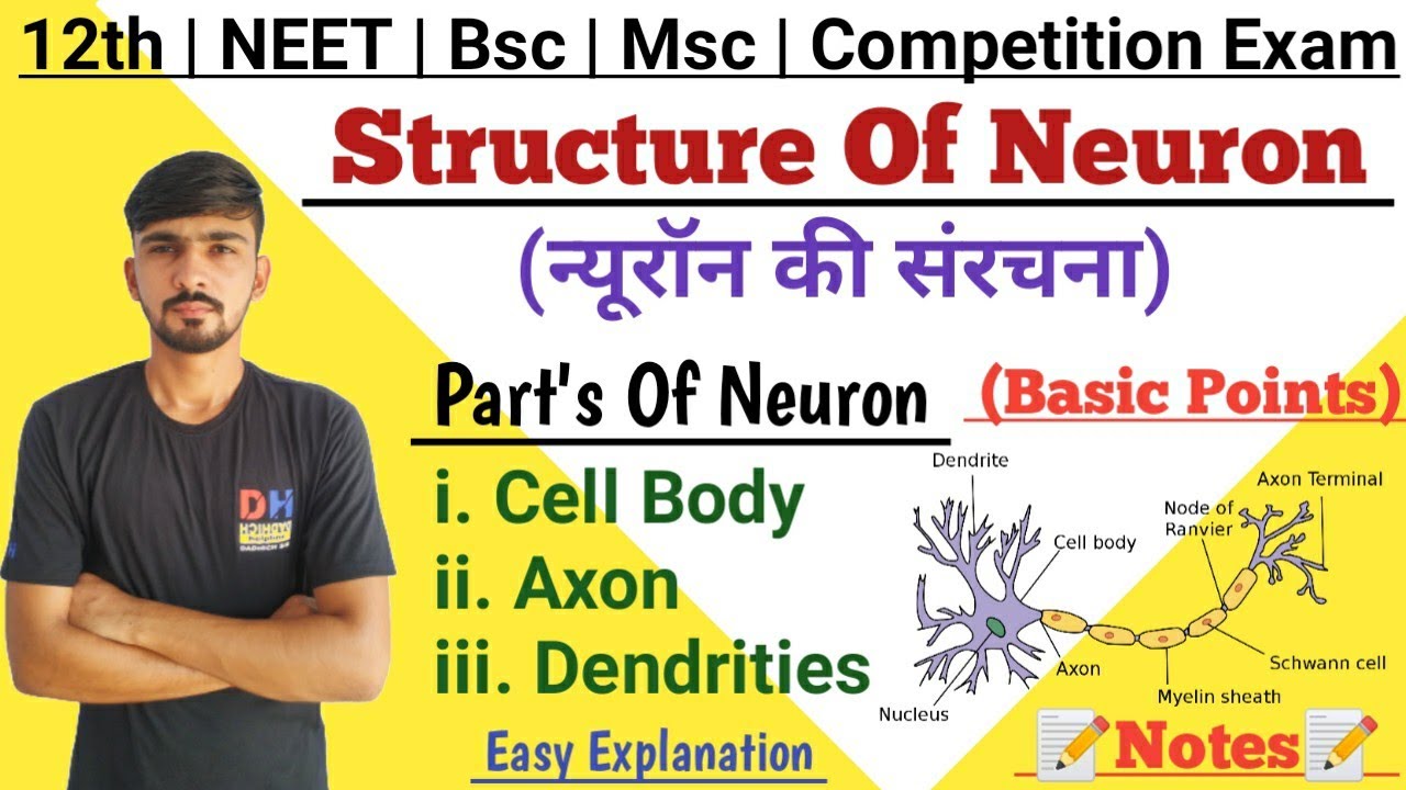 Neuron & It's Part's In Hindi || Nervous System || By Dadhich Sir
