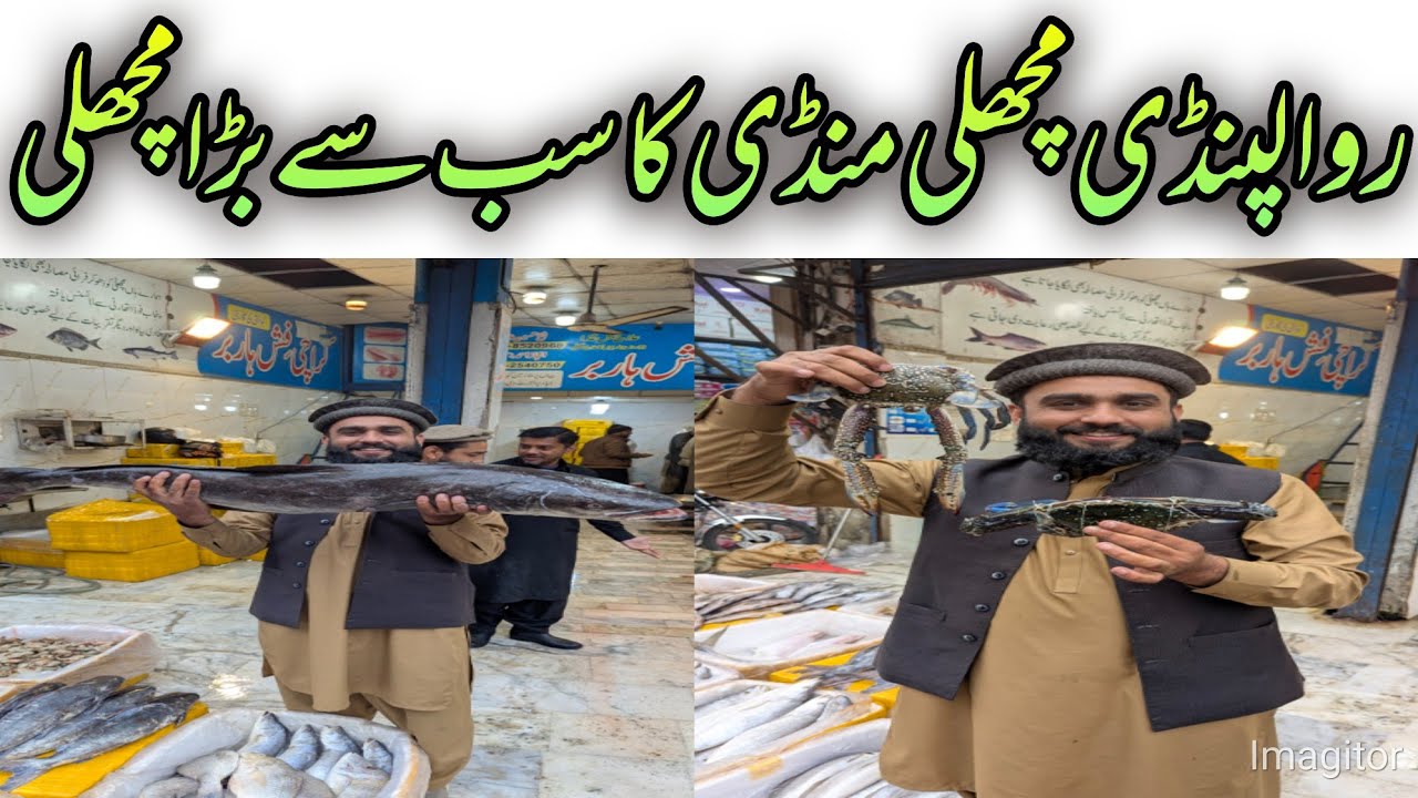 Rawalpindi Machli Mandi Complete Guide | Today Fish Prices | Jhinga, Blue Crab, Samandari Machli |