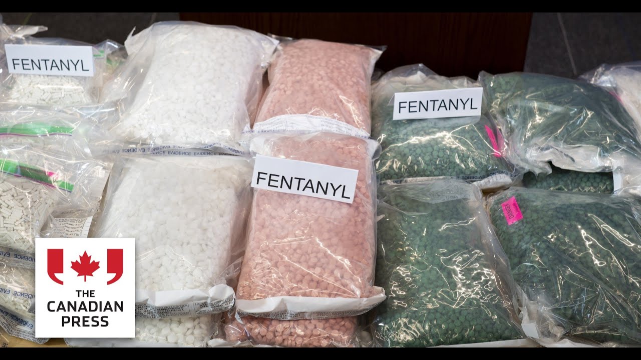 Multi-agency effort led to seizure of large amounts of fentanyl, other drugs: RCMP