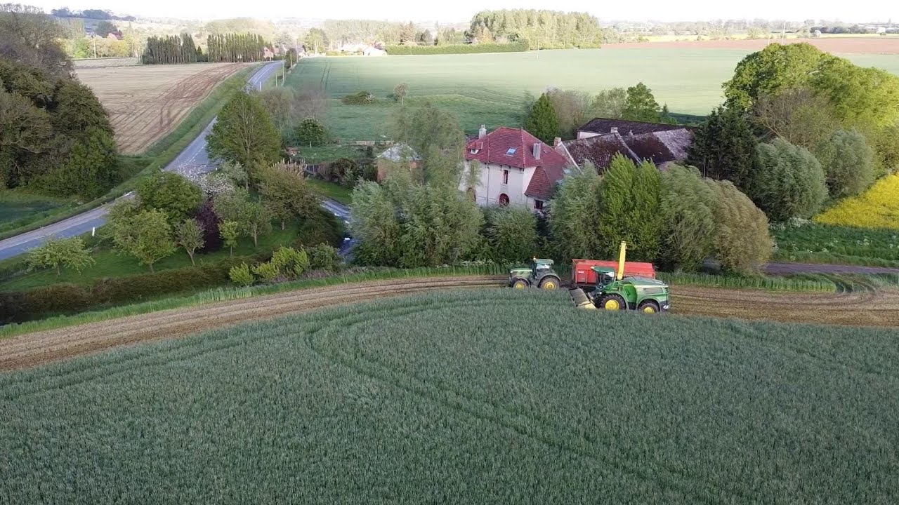 Récolte de seigle 2021 - Entreprise Vert'chain Biogaz à Verchain Maugré 59227