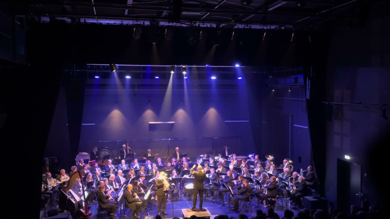 Concerto pour saxhorn de Vladimir Cosma (avec David Maillot)