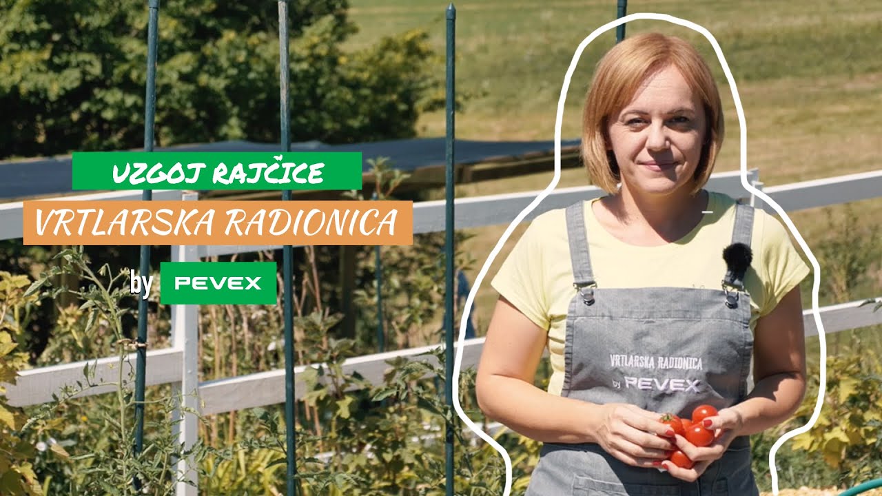 Najče&scaron;će pogre&scaron;ke u uzgoju rajčice - Vrtlarska radionica by Pevex