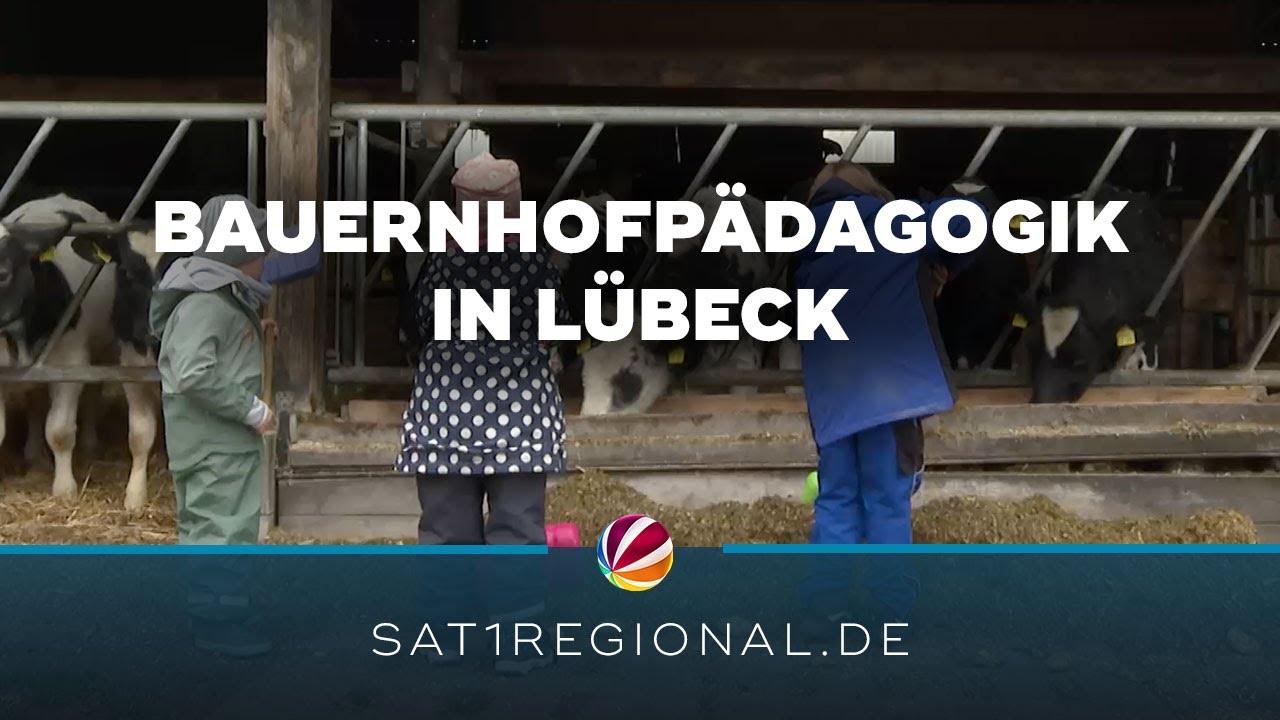 Bauernhofpädagogik für Kinder in Lübeck