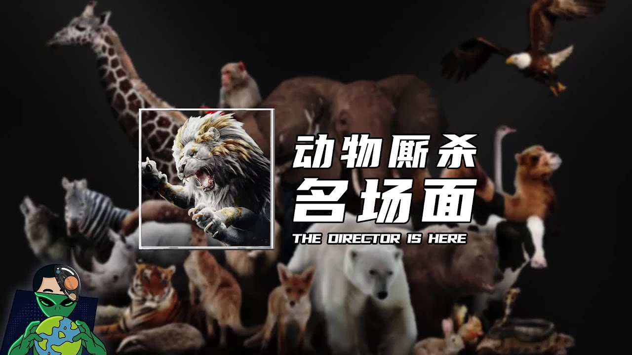 动物厮杀名场面