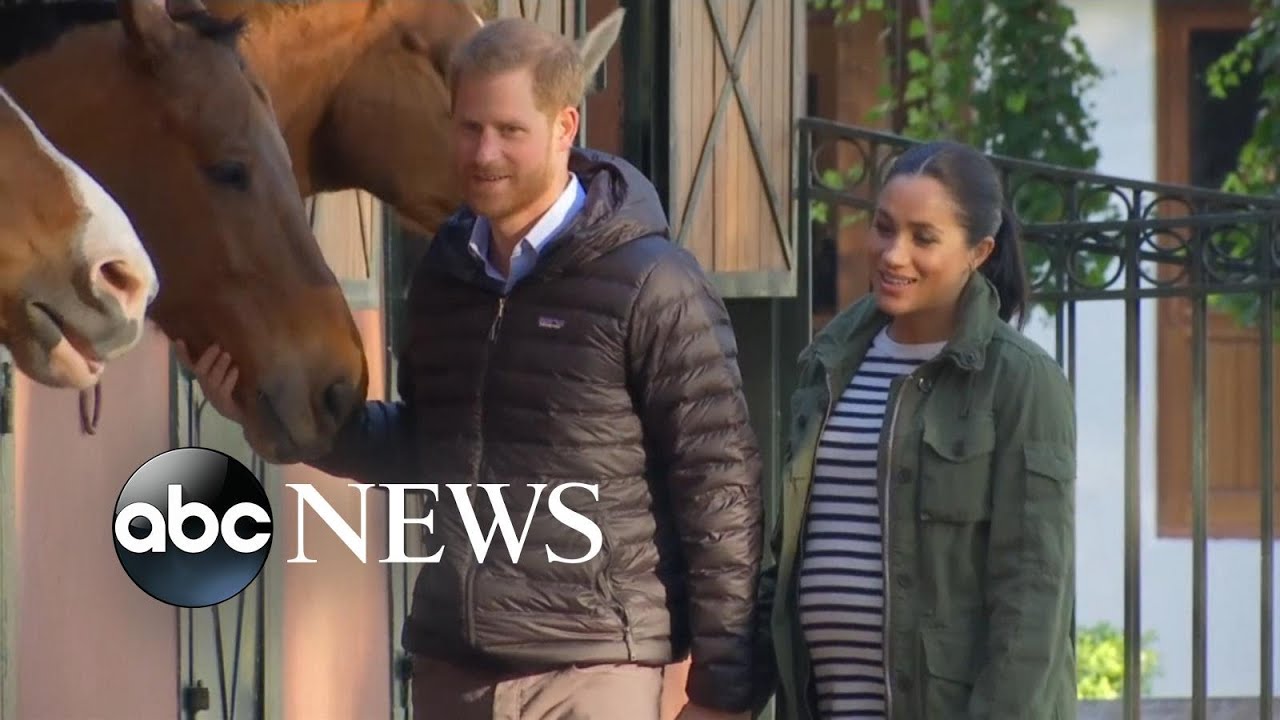 Harry, Meghan pet a horse, exchange cookbook with famous chef on Morocco tour l GMA