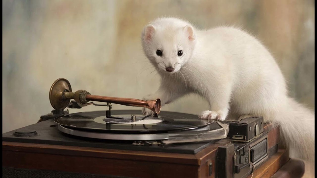 Разговор короткий #31! Работает перехват.