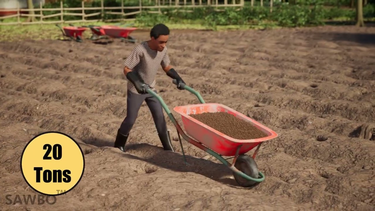 Planting Napier grass: climate smart forage