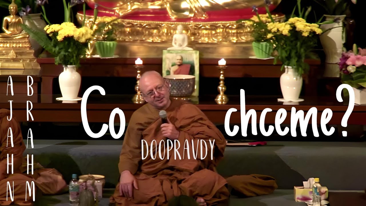 Co doopravdy chceme? | Ajahn Brahm | [české znění] | 6.5.2011