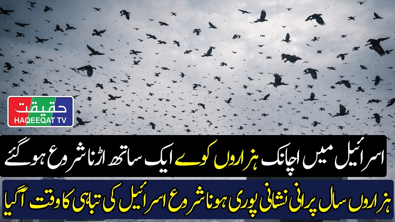 Massive Flock of Crows Spotted Over Tel Aviv After Iranian Missile Strikes