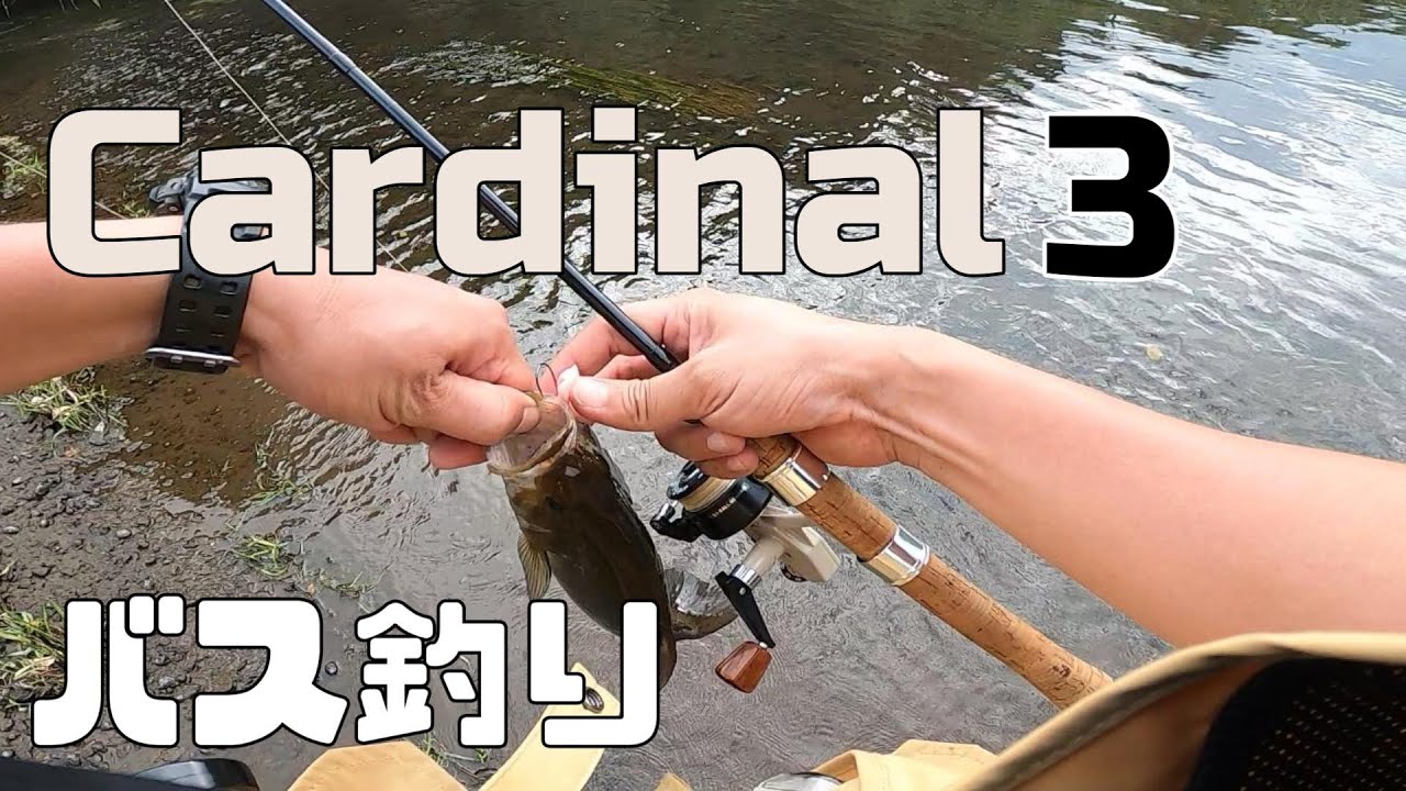 渋い道具でバス釣り【ABU cardinal3】カーディナル3
