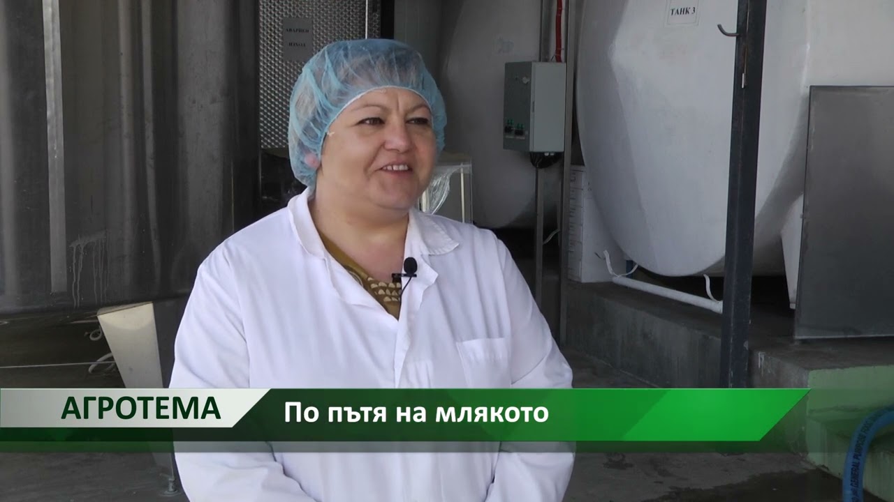 Агротема: По пътя на млякото, автор: Анета Божидарова