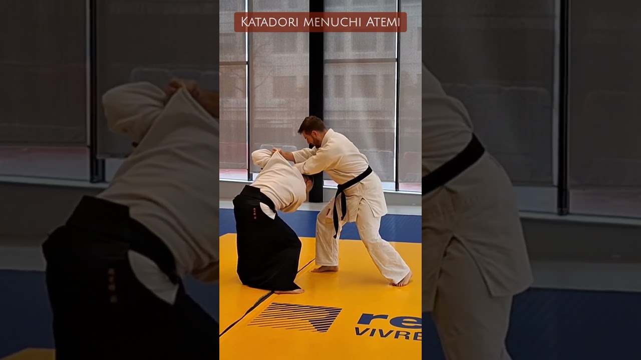 Shihonage studies - Szabolcs Gollob- Rennes, France