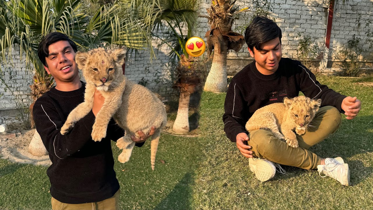 Finally Baby Lion La Lia 😍