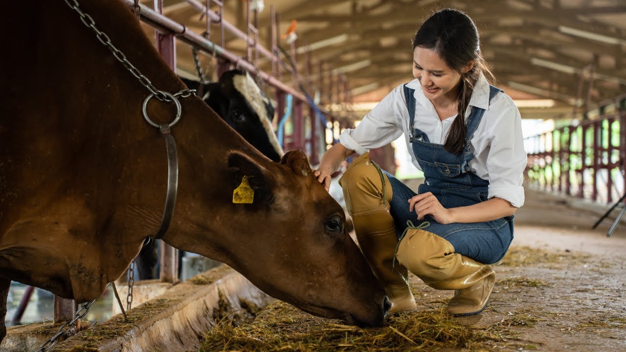 Livestock Nutrition 101: Essential Tips for Healthy and Productive Animals