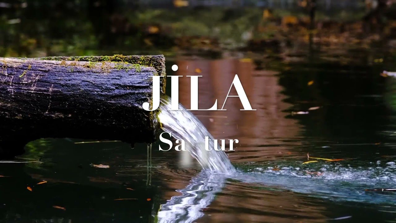 Jila |🌹 Santur | Authentic Persian Instrument | D&uuml;nya M&uuml;zikleri, Dinlerken Dinlenin