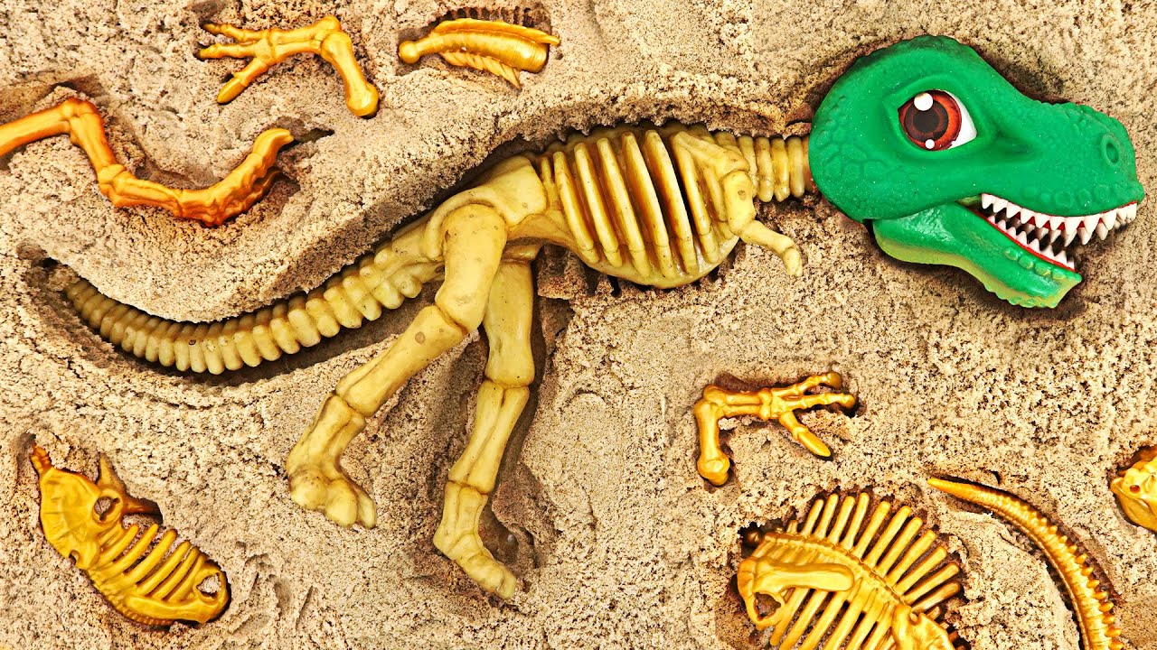 PJ Masks! Find Dinomecard dinosaur bones in the sand and save dinosaurs! | DuDuPopTOY