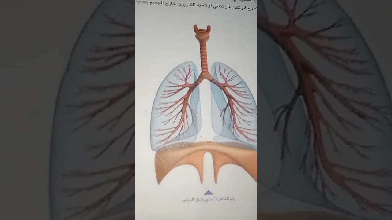 ٧ ديسمبر ٢٠٢٥