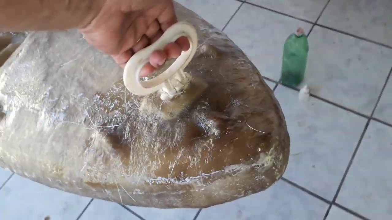 CAIAQUE DE FIBRA DE VIDRO, MUDANÇAS NA ESTRUTURA #5
