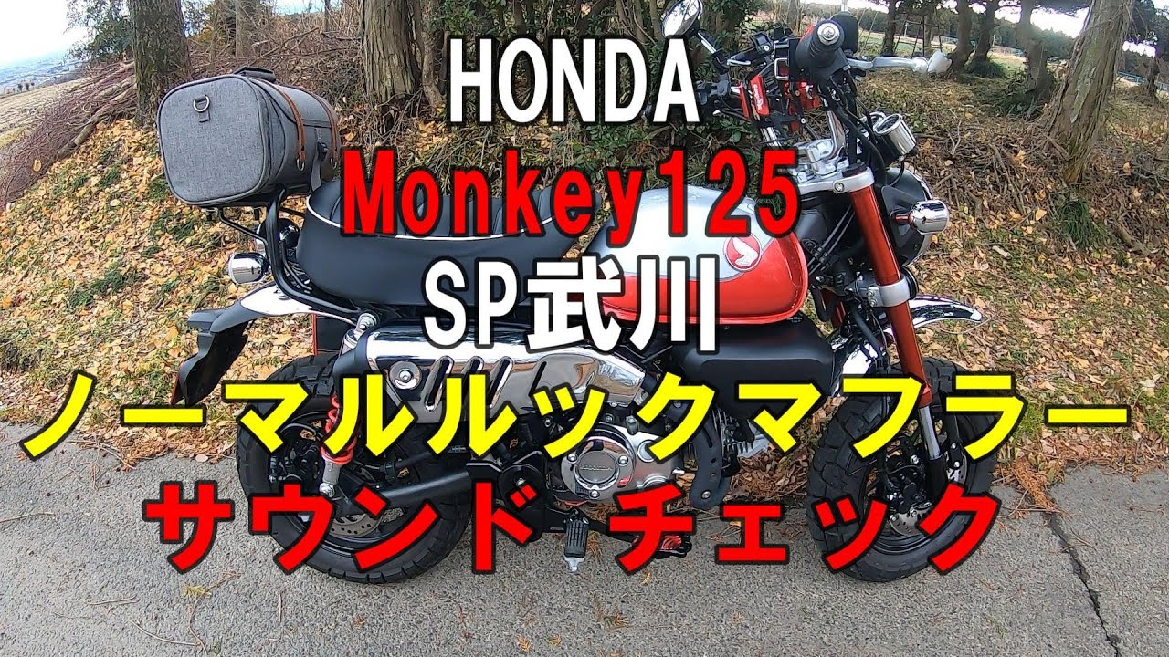 【モトブログ】 HONDA Monkey125 SP武川 ノーマルルックマフラー サウンドチェック