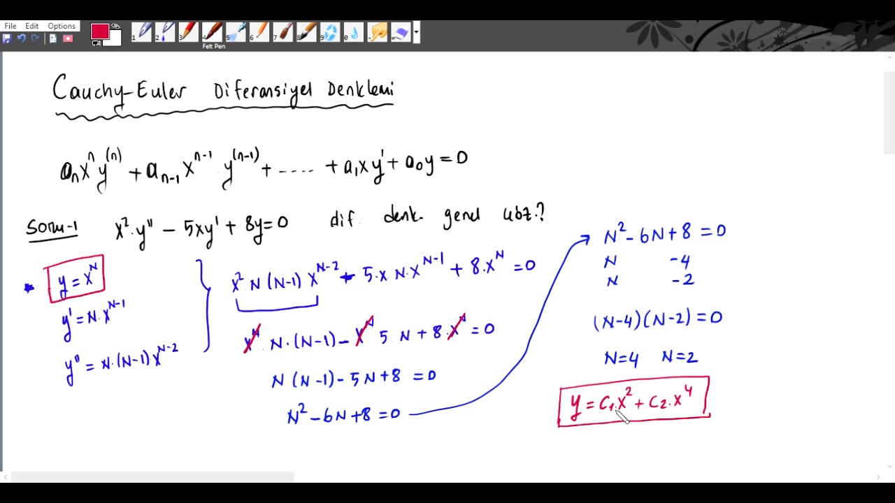 CAUCHY EULER DİFERANSİYEL DENKLEMİ SORU ÇÖZÜMÜ
