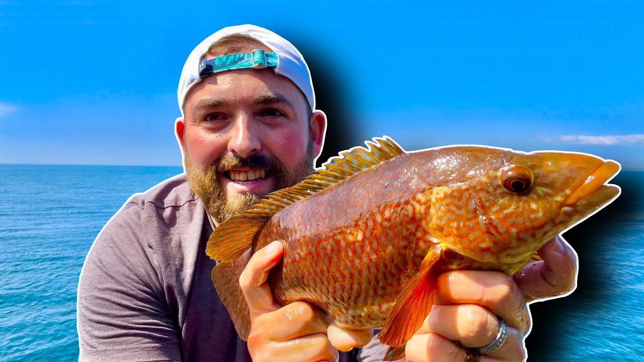 Shore Fishing West Wales Pembrokeshire | Wrasse, Bass, Pollock & Mackerel | Slow Jigging & Ledgering