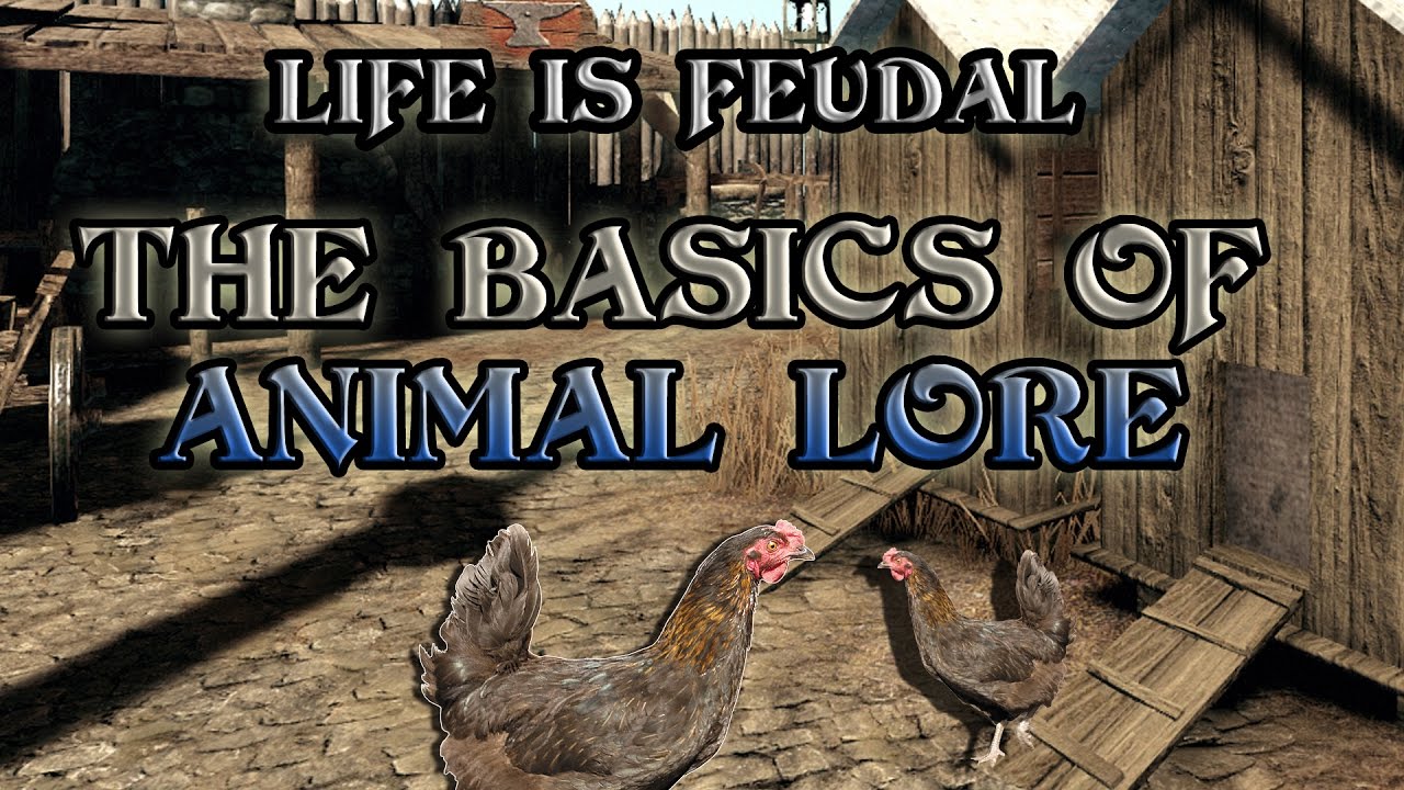 Life is Feudal | Basics of Animal Lore | Coops, Barns and Stables