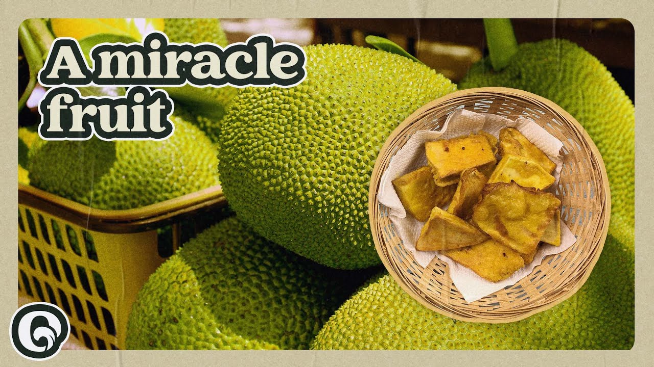 Could This Fruit Solve Hunger?