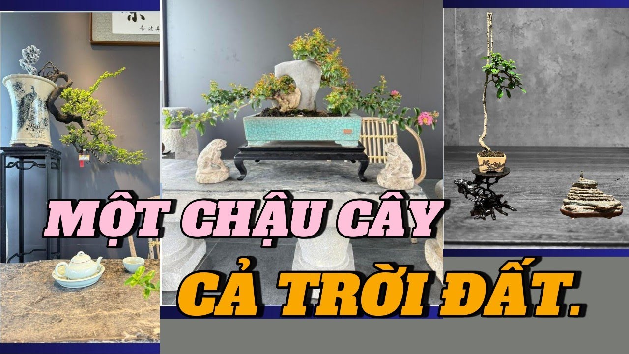 Vẻ Đẹp Của Trời Và Đất Hòa Quyện Trong Một Chậu Bonsai | Nghệ Thuật Bonsai & Triết Lý Tĩnh Lặng”