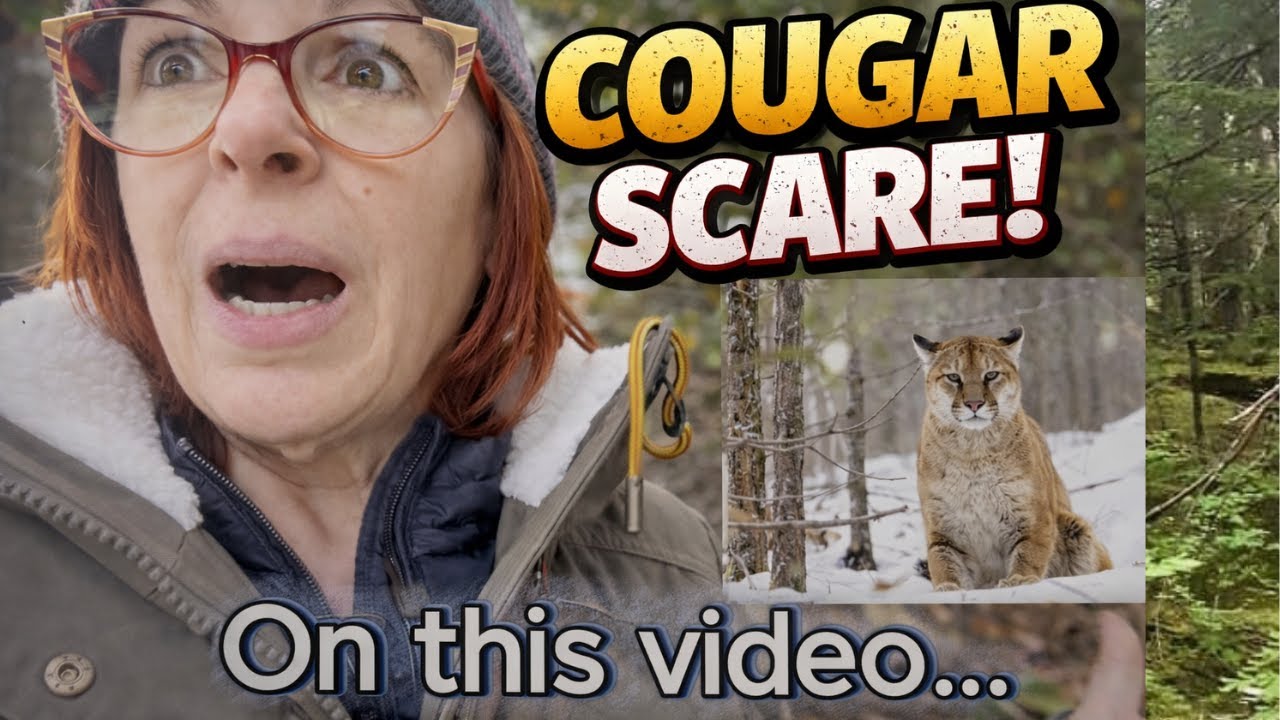 Solo female camping gone wrong - cougar scare