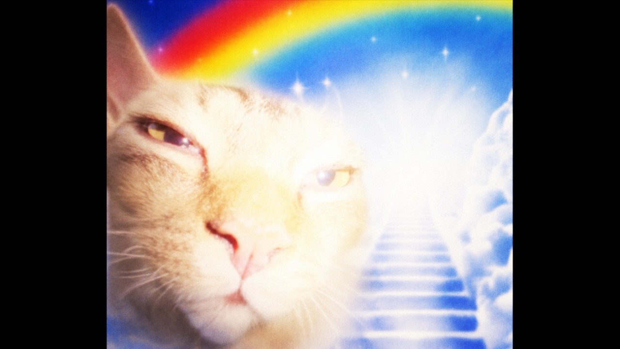 if this background music found you, life will get better