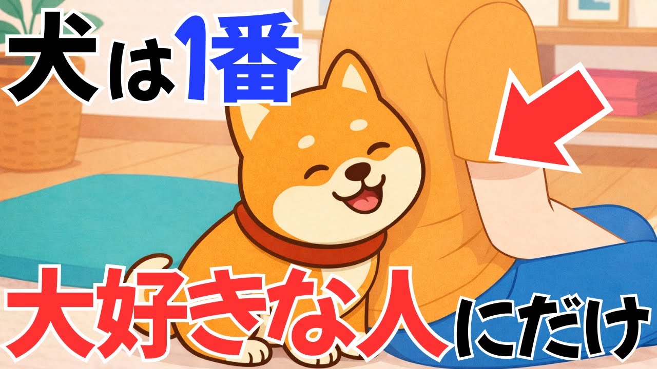 【犬雑学】必見!! 犬は選んでいる! いちばん安心できる人にだけすること｜犬の厳選雑学