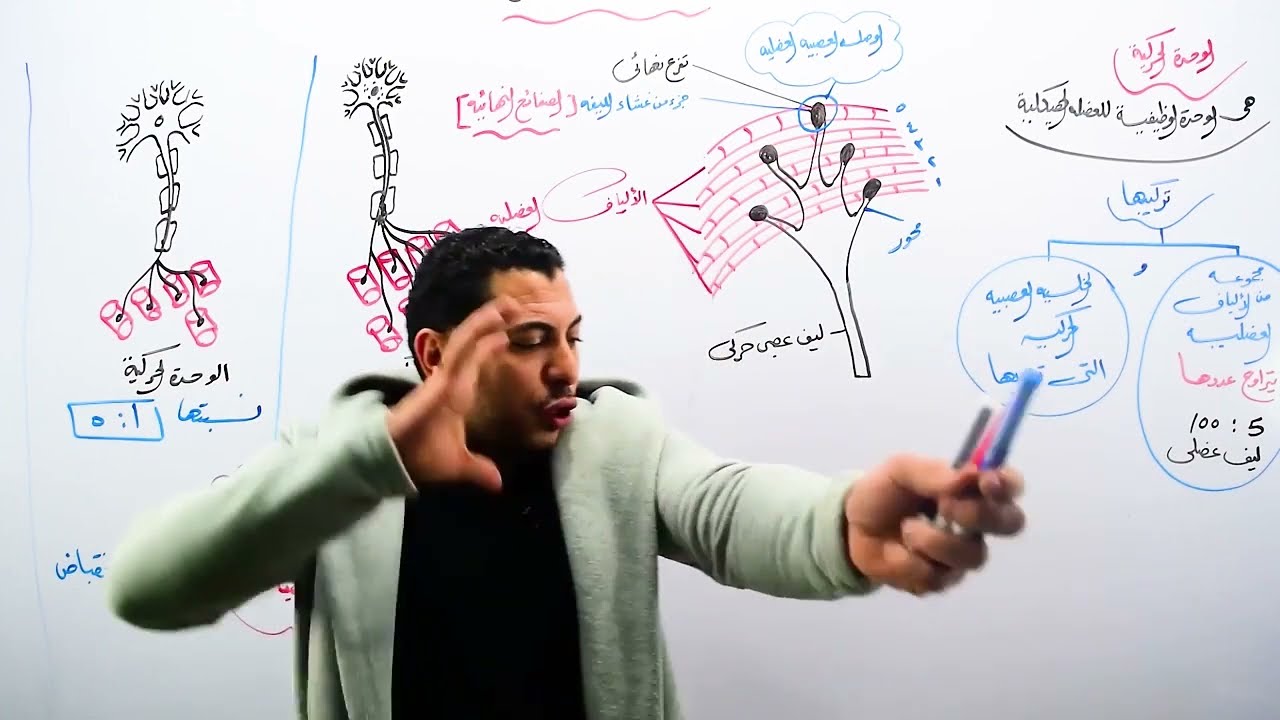 المراجعة النهائية 2023-(الوحدة الحركية-افكار ومسائل)  الحلقة 4