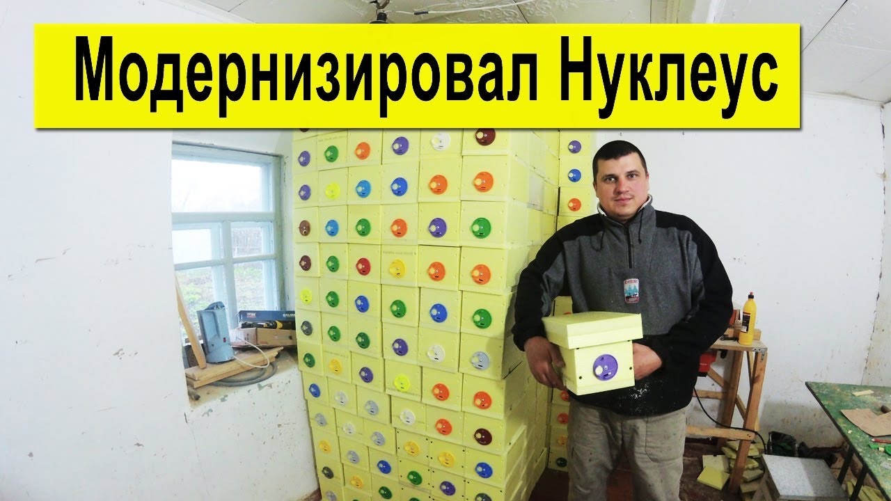 Модернизировал Нуклеус  2019 ✅ Цена на мёд 35 грн/кг