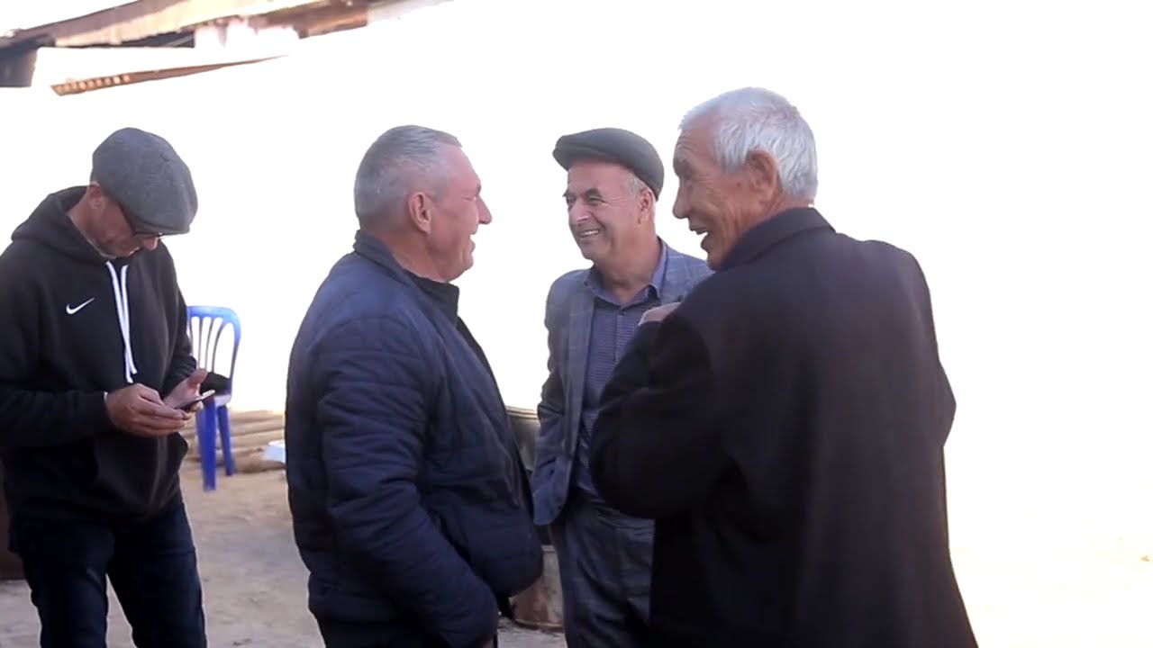 75-видео. 23.10.2022. саехат.