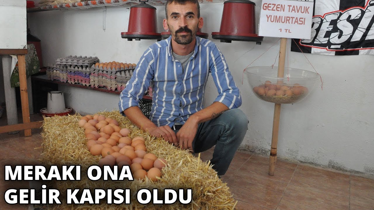 İstanbul’dan köyüne döndü, şimdi yumurta satıyor... 'Merakla başladığımız işi büyüttük'