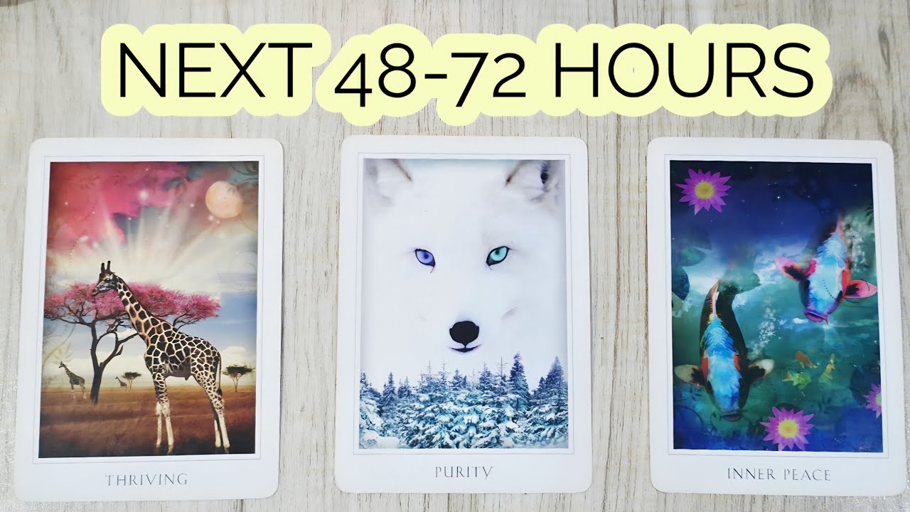 PICK&bull;&bull; NEXT 48-72 HOURS ⏰️ ENERGY CHECK-IN 🪄 WHAT'S HAPPENING NEXT FOR YOU 🌌 TIMELESS
